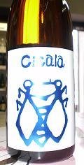 6113����ʡ��������μ��ۡ�Cicala�ʥ�������ˡ����ƶ����720ml